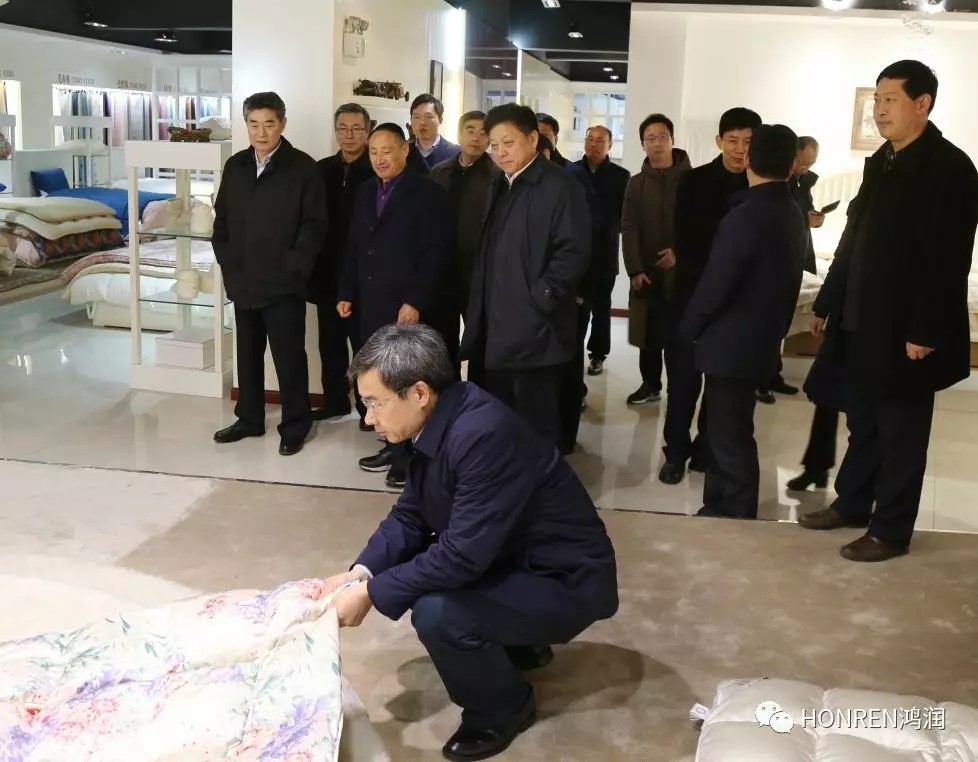安徽省委常委、常務副省長鄧向陽到鴻潤視察